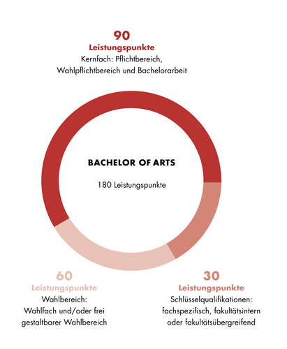 Grafik zum Aufbau des Studienganges