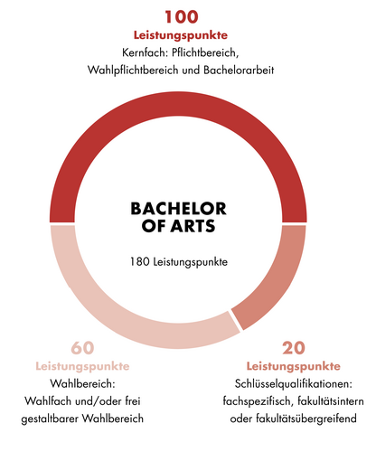 Grafik zum Aufbau des Studienganges